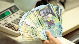 Ajutor de la Guvern de 200.000 de lei pentru micii afaceristi in 2017