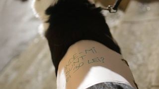 Sursa foto: Ziare.com