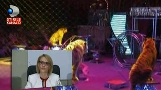 Folosirea animalelor a fost interzisa la Circul Globus. Dresura, eliminata din obiectul de activitate