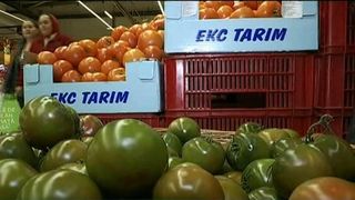 Legumele romanesti au devenit o raritate pe timp de iarna! Jumatate din ce mancam e din import