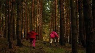 Doi copii din Vaslui disparuti intr-o padure au fost gasiti intr-un sat vecin, dupa ce au mers pe intuneric mai multi kilometri prin zapada si ger