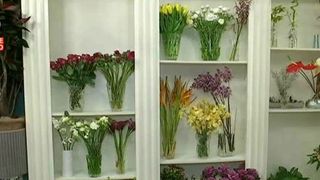 Ai ghinion in dragoste, iata ce flori trebuie sa iti cumperi. Maestrii feng-shui sustin ca succesul e garantat