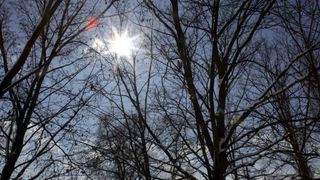 Vremea in weekend: Temperaturi de pana la 13 grade, dar cu conditii de ploaie in unele zone ale tarii