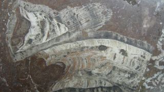 Comoara unica in lume de la statia de metrou Politehnica. Ce valoare au placile de marmura peste care pasesc sute de oameni zilnic