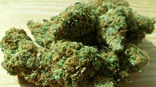 Un tanar din Arad avea o avere in stupefiante. Ce a raspuns in fata politistilor e ireal