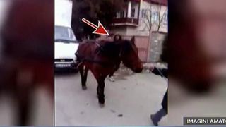 L-au chinuit ingrozitor, punandu-l sa traga o duba grea de cateva tone! Un biet cal, filmat in timp ce stapanul il biciuia cu putere pentru ca nu putea face fata greutatii.