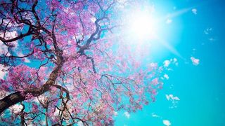 Anuntul meteorologilor. Cand vine primavara si cum va fi vremea de Paste? Prognoza meteo pentru doua luni