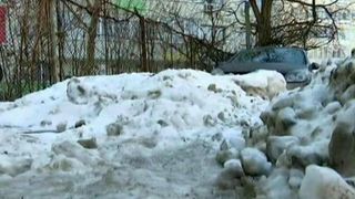 Se incalzeste afara si turturii uriasi pun in pericol masinile si trecatorii! Uite ce se intampla in orasele din tara