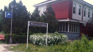 Asta e una dintre cele mai mari tragedii feroviare din Romania - 41 de oameni au murit, alti 71 au fost raniti intr-un accident in Gara Mogosoaia