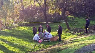 Trupul actritei a fost gasit pe marginea Somesului, in Satu Mare