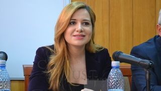 Protejata lui Viorel Hrebenciuc, pusa la conducerea Camerei Deputatilor