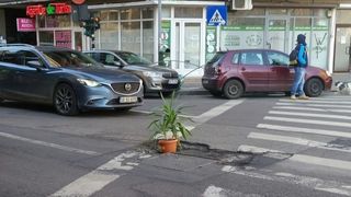 Fotografia care a devenit virala pe internet. Imaginea a fost surprinsa in Capitala. "De primavara. Bucuresti 2017"