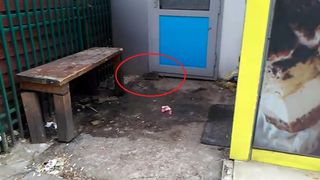 Sobolani langa o patiserie din cartierul bucurestean Titan. Vanzatoare: "Care e problema?"