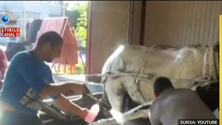 Au dus calul la spalatoria auto si au inceput sa dea cu spuma pe el. Imagini incredibile au facut inconjurul internetului