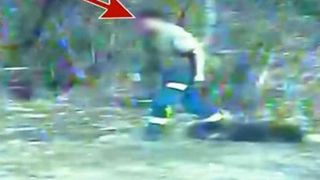 Un cioban din Zarnesti a lovit un catel, pana l-a adus in pragul mortii.  Motivul e halucinant