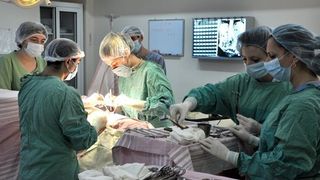 O mama si fatul ei au fost salvati datorita mobilizarii extraordinare a peste 20 de medici timisoreni