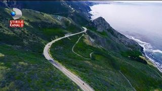 De ce este blocat proiectul soselei de coasta din Constanta - O pasarere rara, de care specialistii n-au auzit, tine pe loc constructia - Detalii