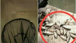 Pesti morti, tinuti intr-un iaz improvizat in subsolul unui bloc. Un barbat din Cluj vindea oamenilor pestele pe care il crestea in conditii mizere