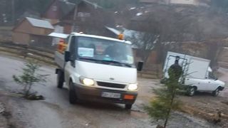 Ardelenii au plantat brazi in gropile din asfalt, pe un drum din Muntii Apuseni!