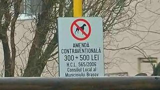 Ai caine? Mare atentie! Daca nu strangi dupa el, platesti scump. Autoritatile au pus tunurile pe stapanii de caini care nu strang mizeria facuta de patrupezi. Ce amenzi se vor da
