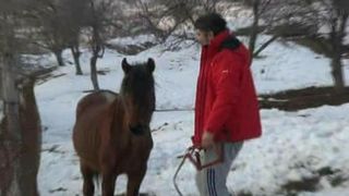 I-a muncit ani de zile si acum i-a lasat sa moara de foame. Un cioban a abandonat doi cai, dupa ce nu i-au mai trebuit. Unul din ei a murit. Imaginile sunt oribile