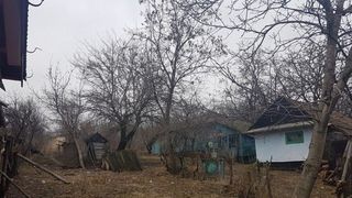 S-a trezit in toiul noptii si a sapat o groapa in mijlocul casei sale din Iasi. De atunci nimeni nu mai are curajul sa ii treaca pragul