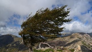Cod galben de vant puternic in patru judete din Romania - In zonele de munte deja ninge