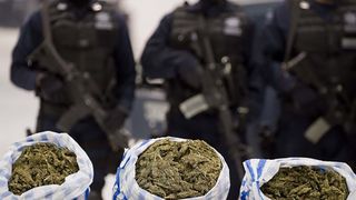 Detalii socante in dosarul romilor care vindeau droguri elevilor. Ei foloseau otrava de sobolani, spray de tantari si ingrasaminte pentru a crea rapid dependenta