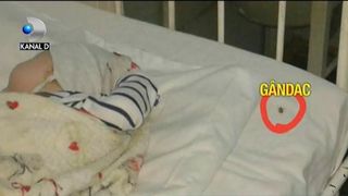 Ce solutie a gasit un medic de la spitalul din Neamt pentru a rezolva problema gandacilor care se plimba nestingheriti prin saloanele de pediatrie