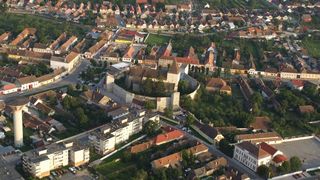 Orasul din Romania unde trebuie sa plantezi copaci daca vrei sa-ti construiesti o casa. Decizia autoritatilor intra in vigoare la 1 aprilie