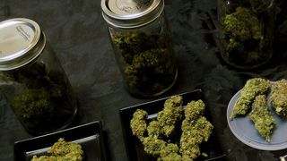 Doua persoane retinute, dupa ce au fost prinse cu noua kilograme de canabis, la intrarea in Slatina