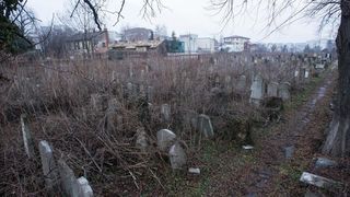 Cum arata cimitirul evreiesc de pe Ion Mihalache! O buna parte a fost distrusa de cutremurul din '77! Acolo se afla si mormantul lui Iosif Sava!