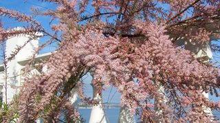 Obiceiuri si traditii in luna aprilie. Ce trebuie sa faci si ce trebuie sa eviti cu orice pret in aceasta luna