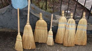 Senatul cumpara frigidere, carpe de praf, mopuri si maturi de calitate