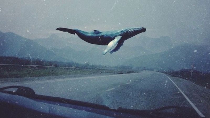 Un simbol al jocului, folosit in grupurile de jucatori