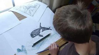 Un elev de 13 ani a fost salvat din gherele jocului "Balena Albastra" de catre dirigintele sau