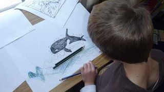 Un elev de 13 ani din Botosani a intrat in jocul Balena Albastra si nu mai poate scapa. A fost alertata Politia: "A primit amenintari"