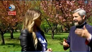 Ce sa mananci in ziua de Paste in functie de zodie, cum iti cureti casa cu trucuri ieftine si utile, dar si ce e bine sa faci in aceasta miercuri. Toate secretele sunt dezvaluite la Codul Fericirii