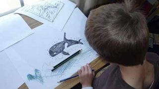 Inca un caz de balena albastra. Cum a fost gasita o eleva din Targu Jiu