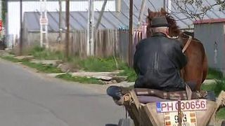 Localitatea din Romania unde exista peste 700 de carute. "N-avem noi nevoie de masini. Nu e om in sat sa nu aiba caruta"
