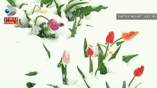 Iarna s-a intors in aproape toata tara. "Parca vine Craciunul". A nins fara incetare, in luna aprilie - Asa ceva nu s-a mai intalnit de foarte multi ani