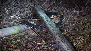 Trafic rutier ingreunat pe mai multe drumuri judetene din cauza copacilor cazuti. 160 de localitati au ramas fara curent