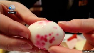 Ne-am facut de ras in fata strainilor! Ce au gasit gimnastii olandezi la Cluj. Campionatul European, in conditii mizere