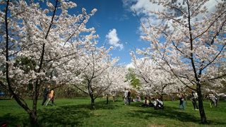 Prognoza meteo pe doua saptamani: Cum va fi vremea de 1 mai