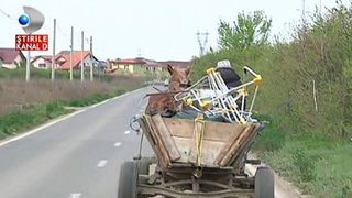 Un politist din Vaslui a surprins un barbat care conducea beat o caruta, in timp ce barbatul era la Timisoara! Cum este posibil asa ceva nici sefii agentului nu-si dau seama