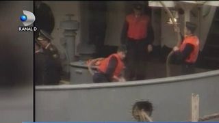 Oile romanesti au reusit sa scufunde o nava militara ruseasca. Incidentul a dat frau liberii glumelor pe seama oitelor. Cum se simt acum animalele