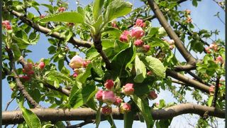 Vom avea sau nu vara in 2017? Ce spun meteorologii despre temperaturile din lunile iunie, iulie si august