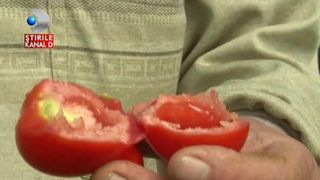 Au aparut pe piata rosiile romanesti, dar pretul pe kilogram e unul naucitor - Tu ai plati suma asta pe ele?