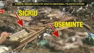 Descoperire socanta la o groapa de gunoi din Craiova - Un sicriu, cu tot cu cadavru, gasit imprastiat in zona