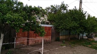 Aici locuieste mama Ilenei Ciuculete